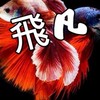 飛凡-鬥魚、孔雀魚交流、買賣、競標、送養、魚病學術討論
