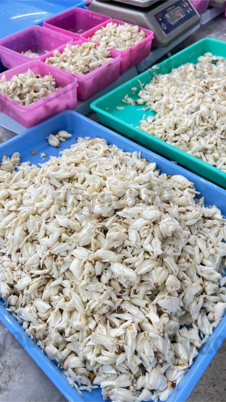 เนื้อปูก้อนสินค้าอาหารทะเลราคาส่ง