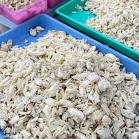 เนื้อปูก้อนสินค้าอาหารทะเลราคาส่ง