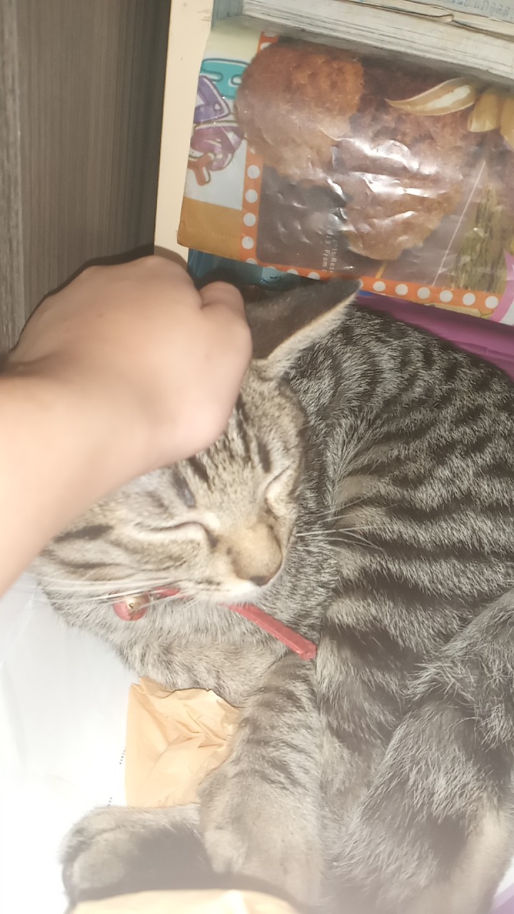 ใครเบื่อมาคุยเล่นกันก็ได้นะ!