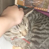 ใครเบื่อมาคุยเล่นกันก็ได้นะ!