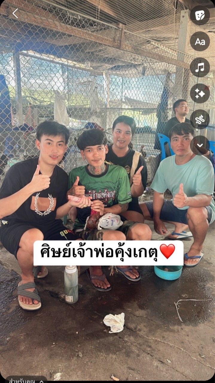 ศิษย์เจ้าพ่อคุ้งเกตุฟาร์มไก่ชนพื้นบ้าน
