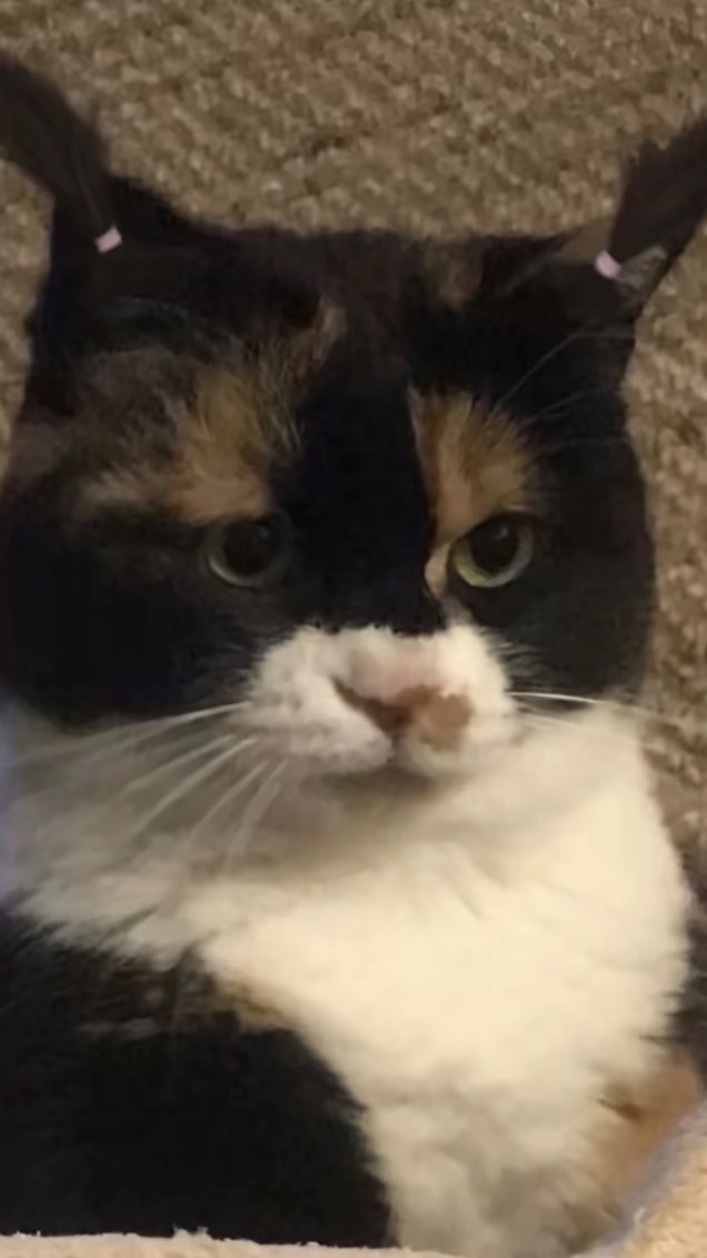 คนในนี้สวยกันหมด✨