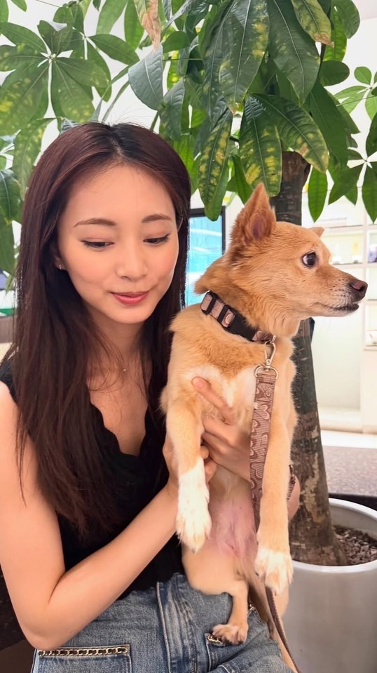 Aboutzuyu