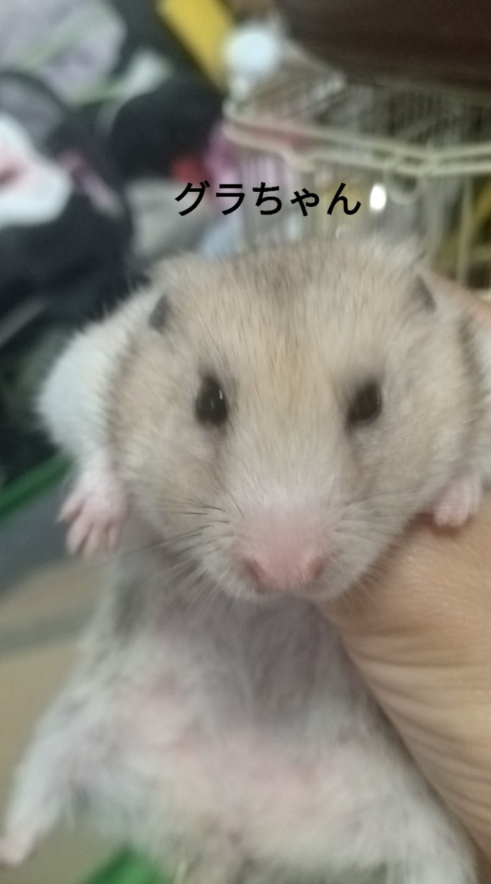 ペット倶楽部♣