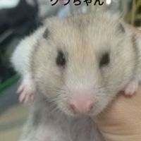 ペット倶楽部♣