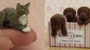 指尖大小超擬真黏土小動物，根本就是活生生的毛小孩啊～