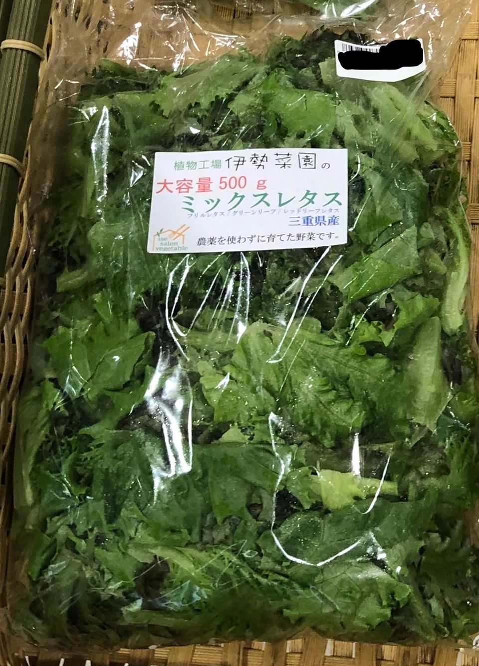 植物工場 伊勢菜園 Line Official Account