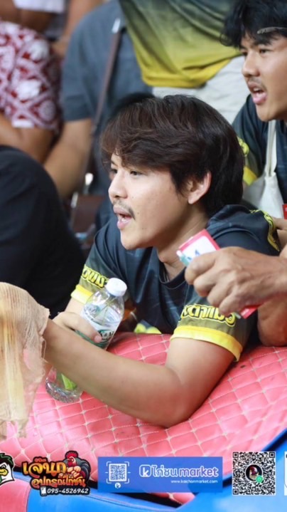 ไก่ชน เพชรตาเเมว