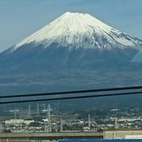 神経痛何でも