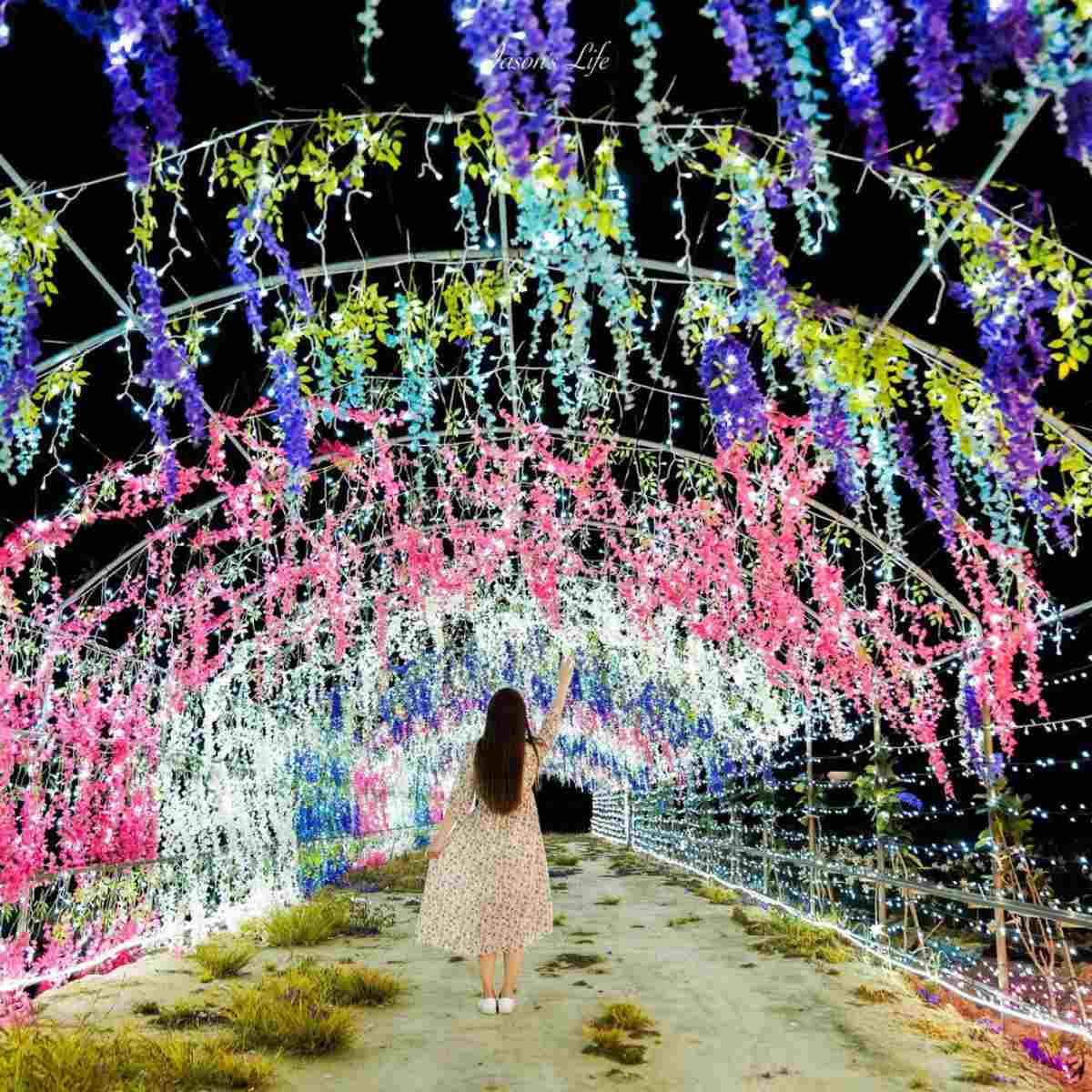 桃園人避暑首選！６條超好走私房步道：夢幻水母廊道、台灣小百岳、瀑布祕境