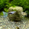 セカンドアクアリウム