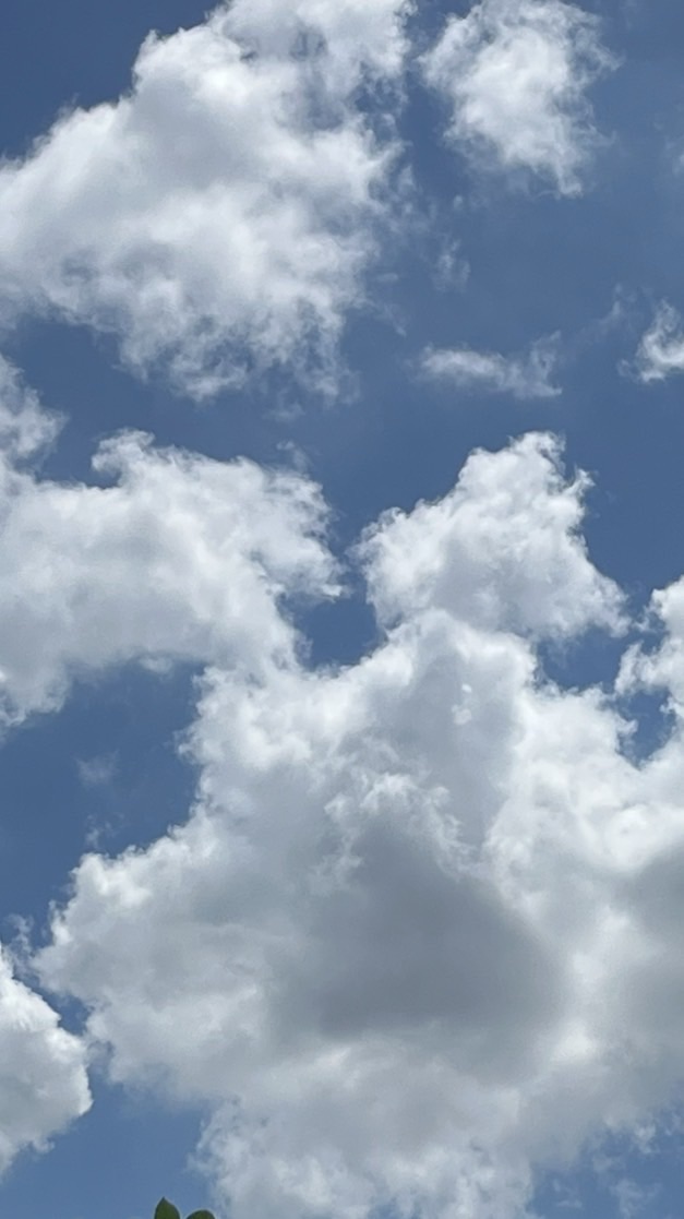 โรงเรียนวัดเกษทอง