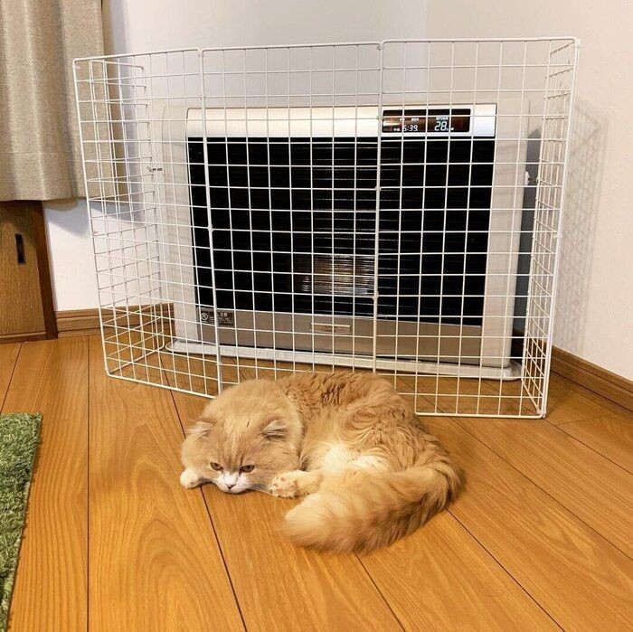 ストーブを使う猫飼いさん必見 お手製ストーブガード