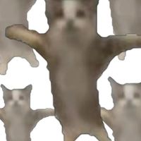 117班群