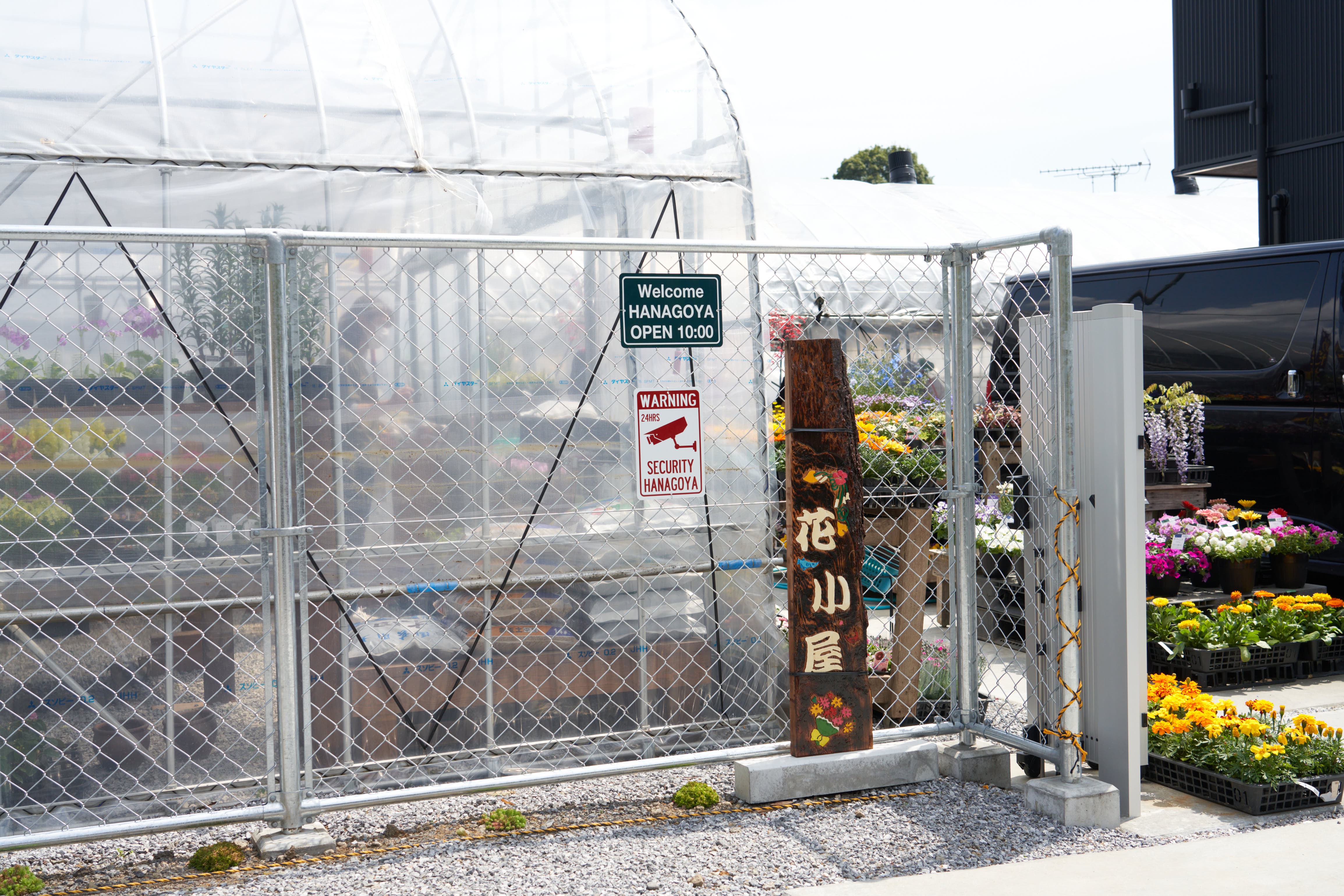 空前のメダカブーム 飼育歴30年 第一人者が語る メダカの魅力