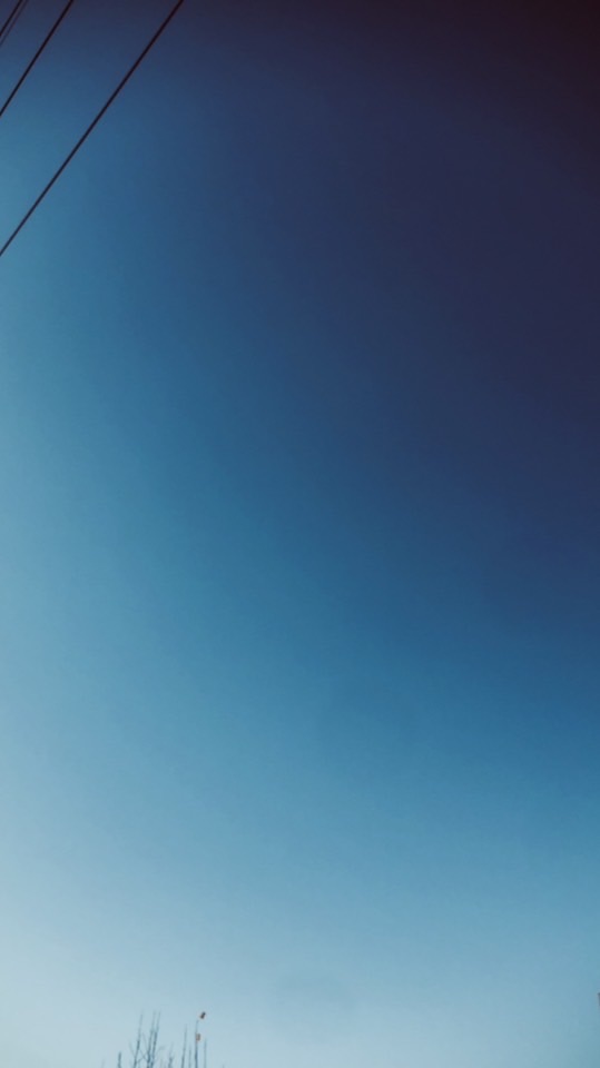 メ ダ リ ス ト  .