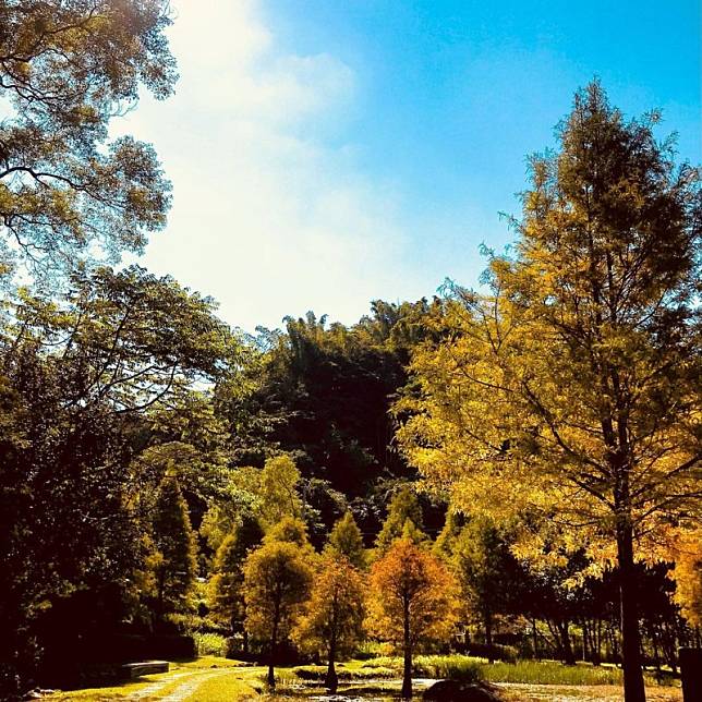 ▲圖片來源：IG@zhangjiji2