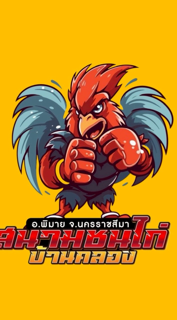 สนามชนไก่บ้านคลอง อ.พิมาย🐔