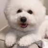 フレーム画像受け渡しオプチャ🐻‍❄️🍦