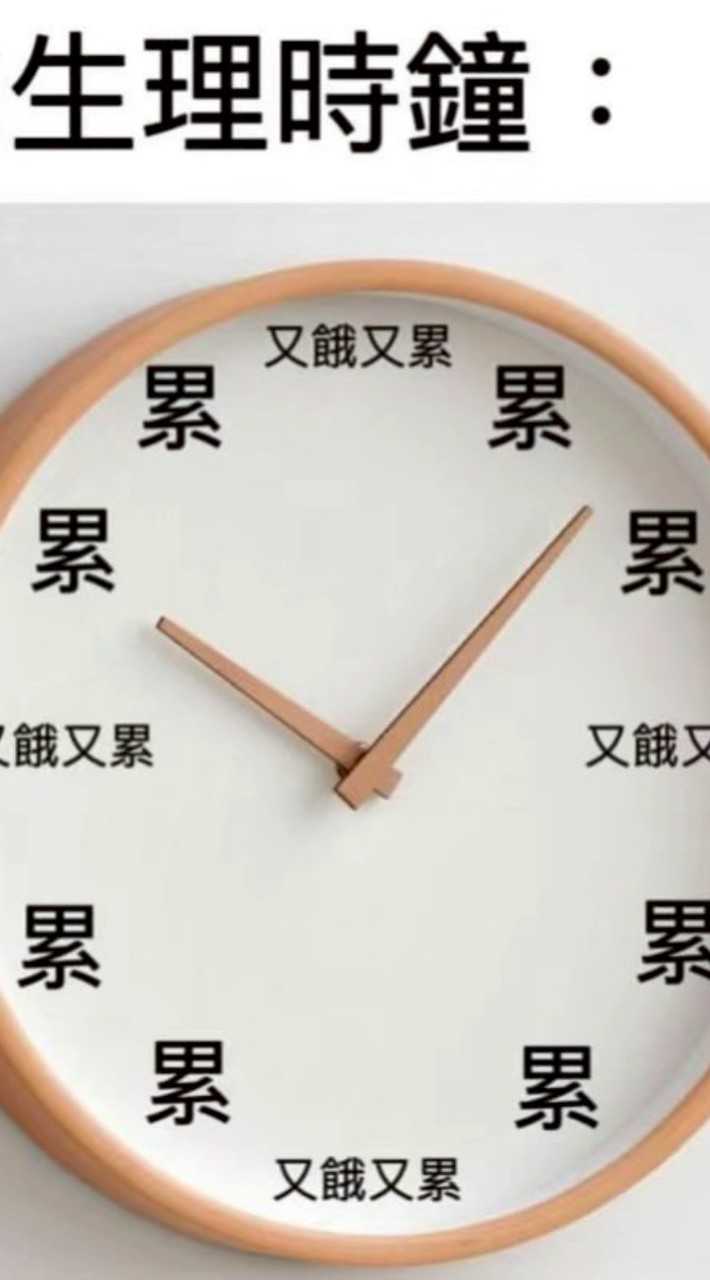 媽的盜圖仔