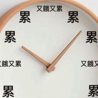 媽的盜圖仔