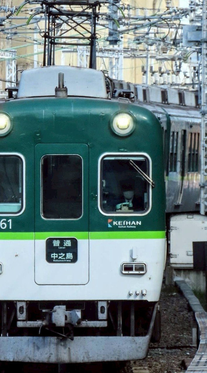 スジ公開&交換