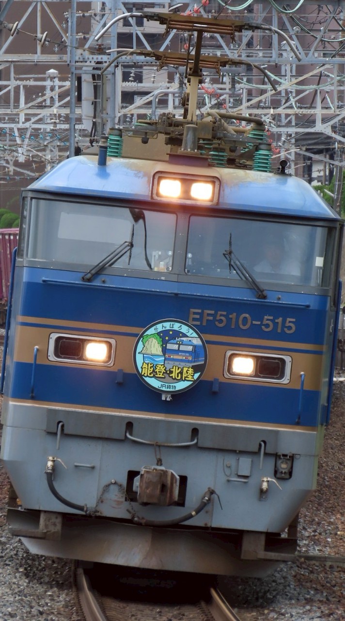 スジ公開&交換