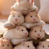 鼠疫來了🐭愛心主人招募中🐾