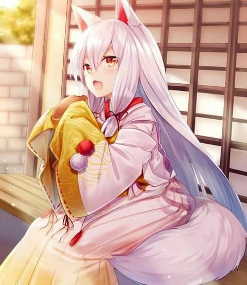 ห้องแมวน้อย