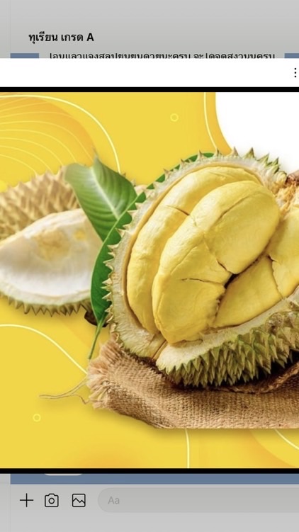 ผู้เสียหาย ทุเรียนเกรดA