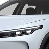 純電營業車