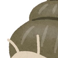 タニシ教信者集会所