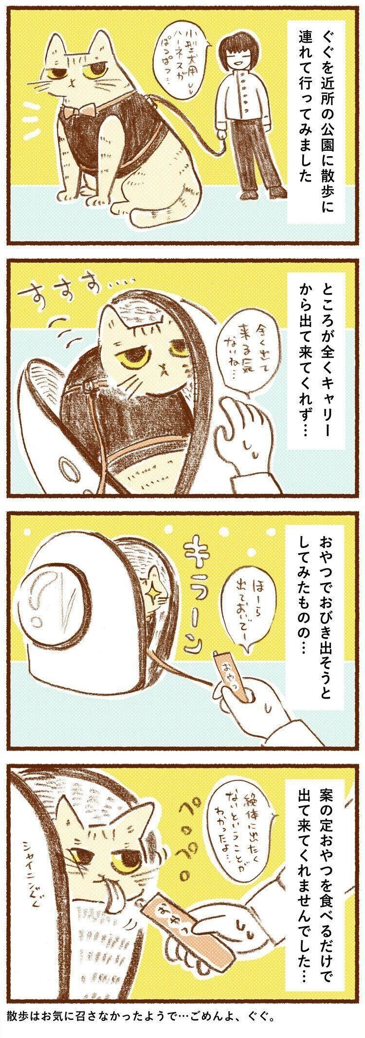 本物そっくり 猫の足跡 を完全再現できる肉球スタンプ ねこのきもちnews