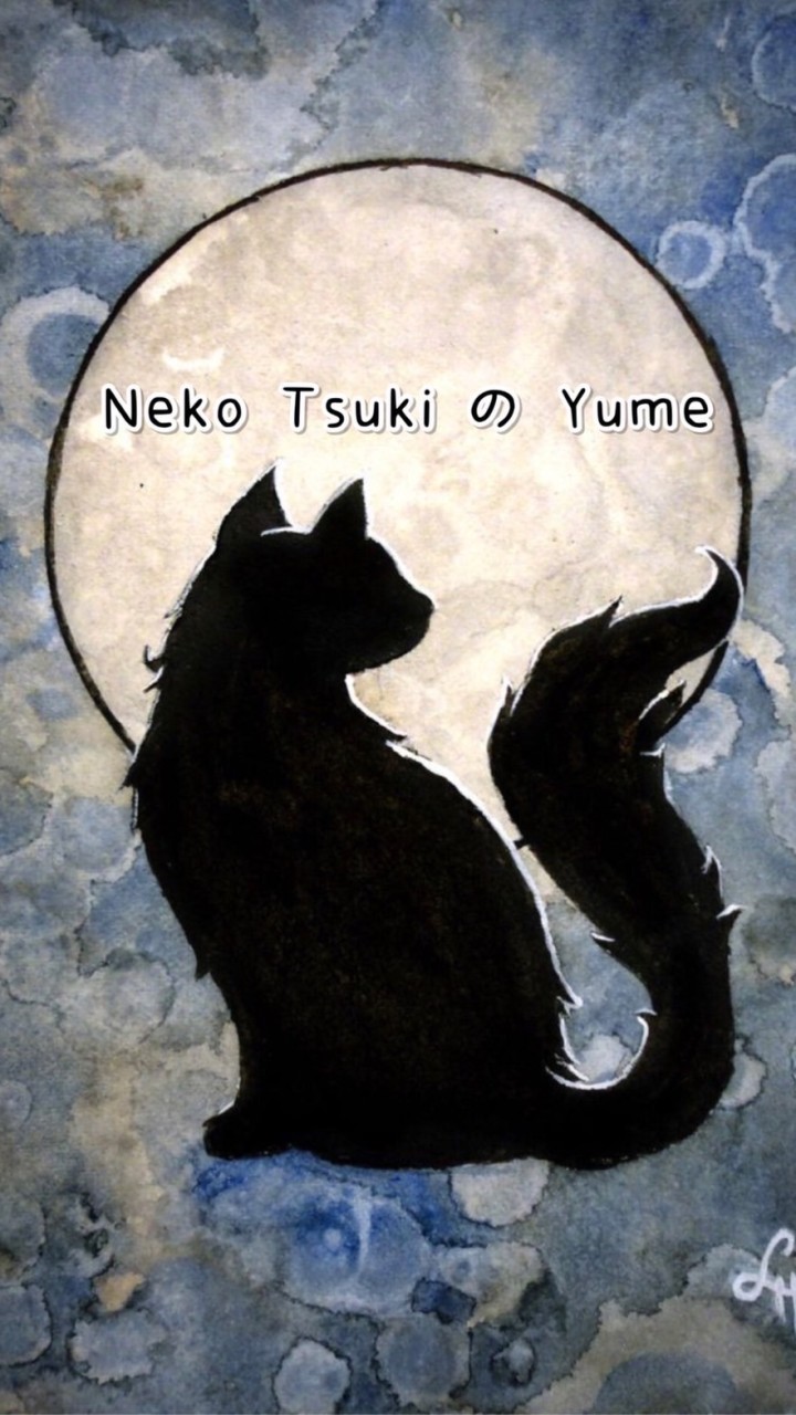 Neko Tsuki の ŸÜme 貓月之夢（決勝時刻M)
