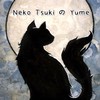 Neko Tsuki の ŸÜme 貓月之夢（決勝時刻M)