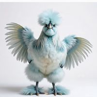 ชมรมคนรักไก่สวยงาม,ไก่ไข่ และไก่ต่างประเทศ แห่งประเทศไทย