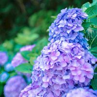 💐関西、50代・60代シングルの会💐