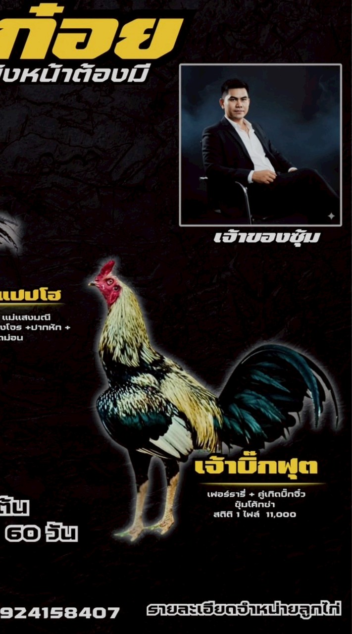 ซุ้มกิเก๋ ก๋อย