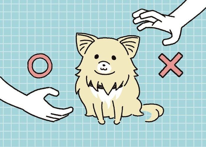 犬が一緒にいたくなる人 ってどんな人