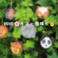 娜娜🌸多元化團購去✌️