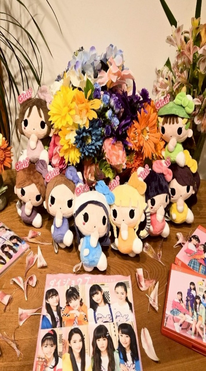 Girls² 東北応援広告企画 武道館上京開催