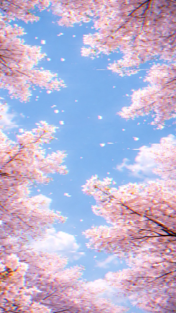 どこにでもあった本丸