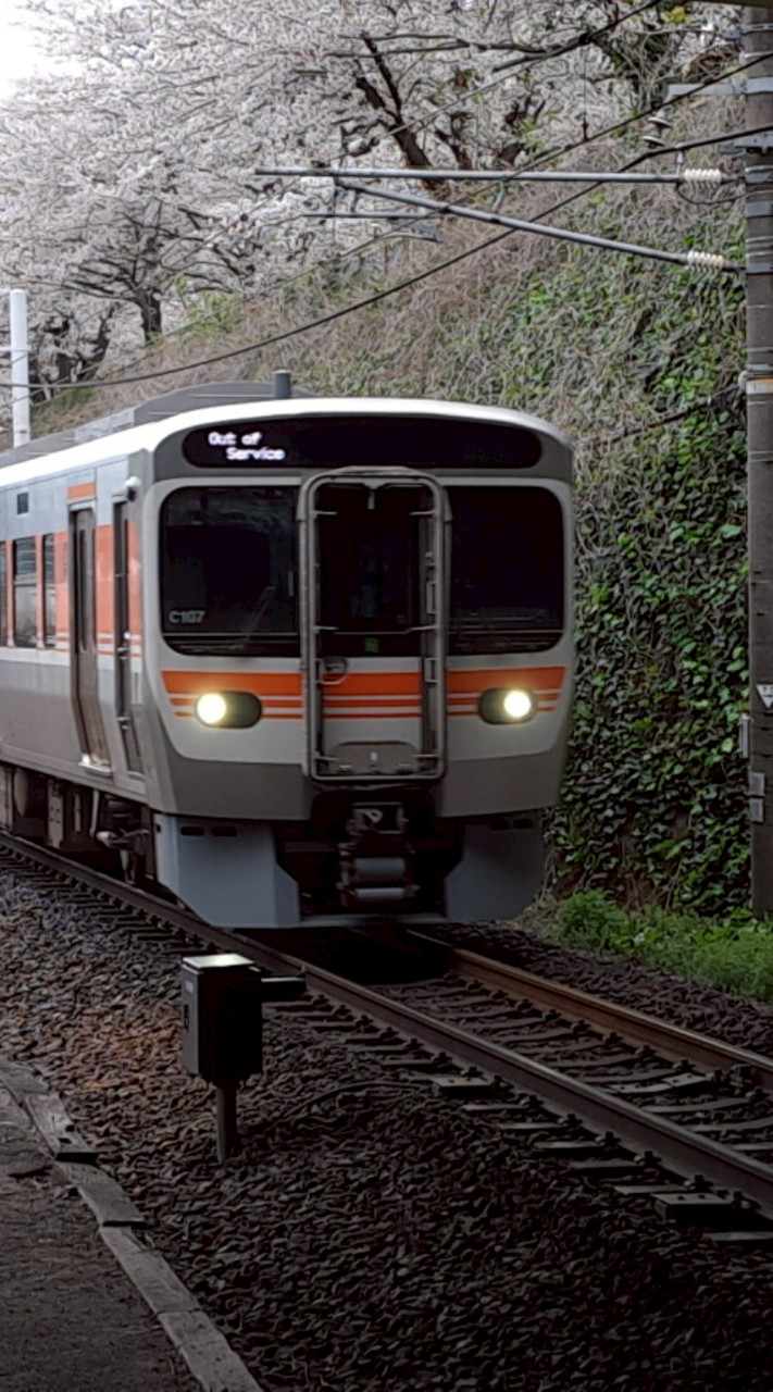 ニホントリテツ