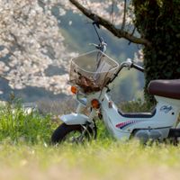 福岡・九州　のんびり原付でいこう