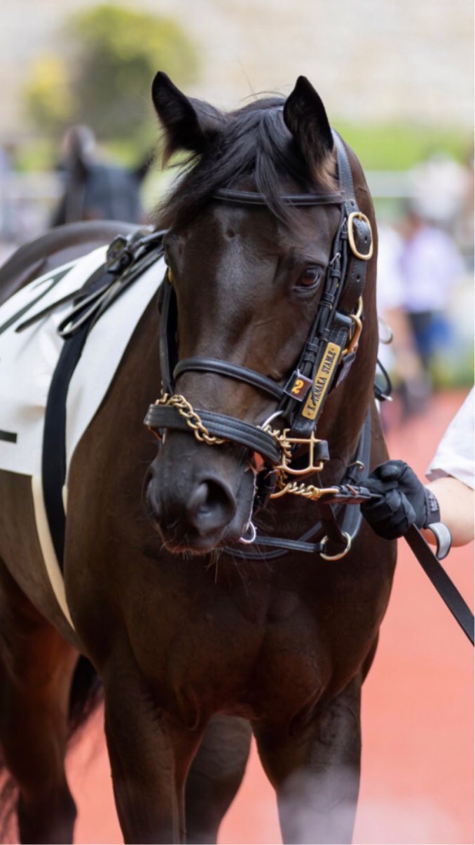 🏇🚴🚤なんでも🙆‍♀️のオープンチャット