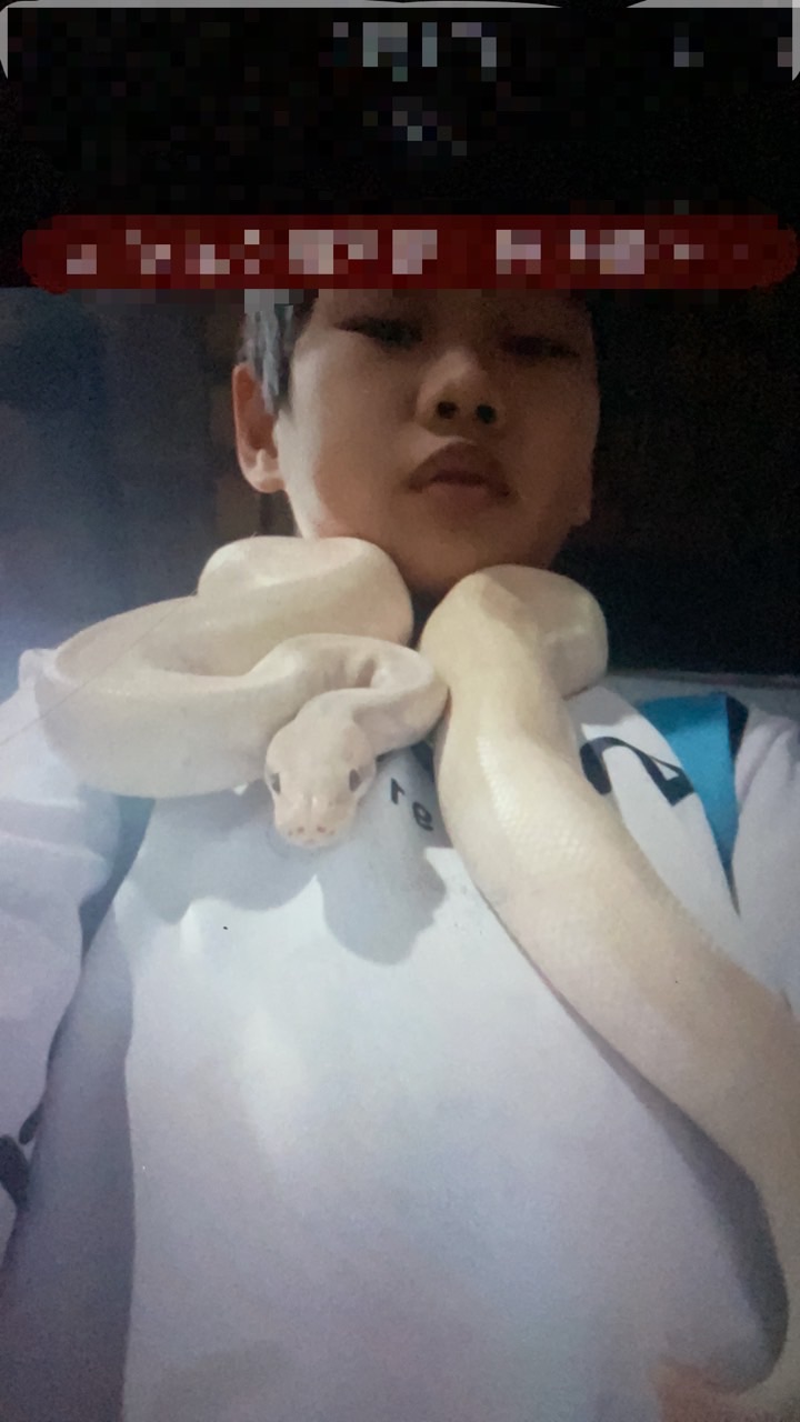 大明國小學生畢旅討論區