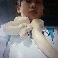 大明國小學生畢旅討論區