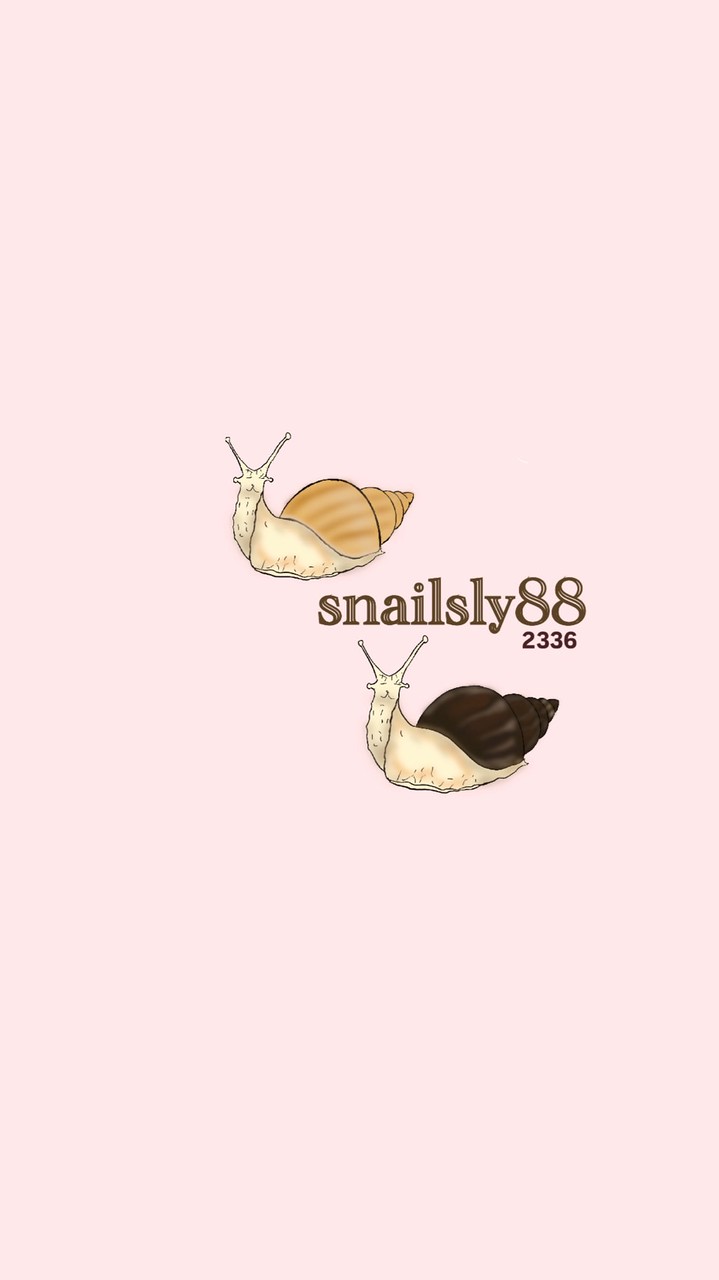 Snails ly88🐌