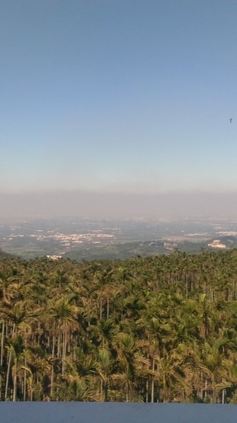 傷心酒店-原味天堂